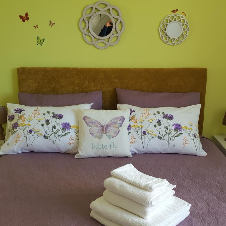 Sweet Butterflies Residence Braşov Eksteriør bilde